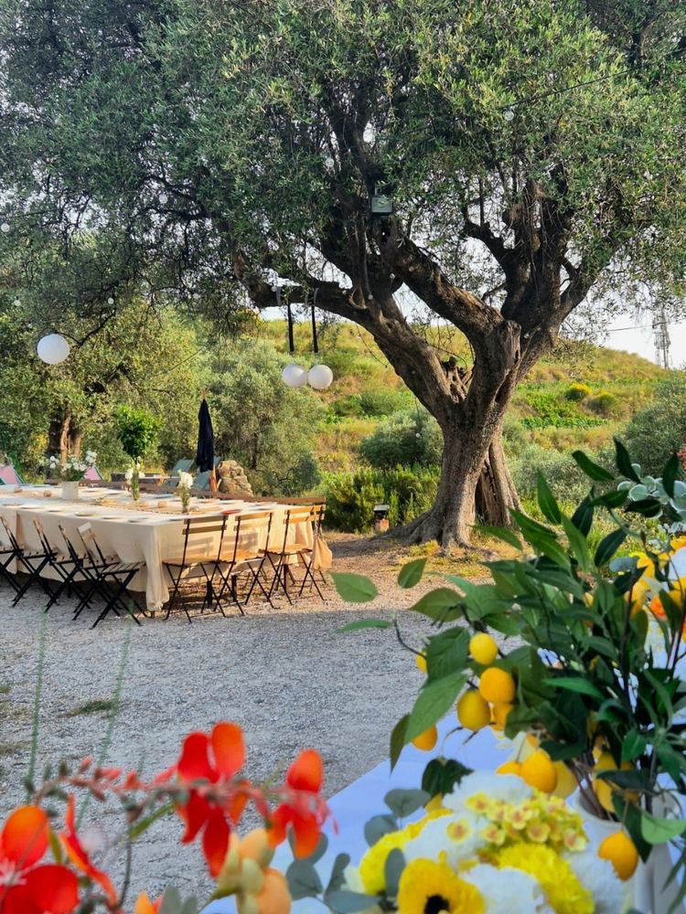 Grande table dressée sous un olivier à La Ferme Elia, sur les hauteurs de Nice